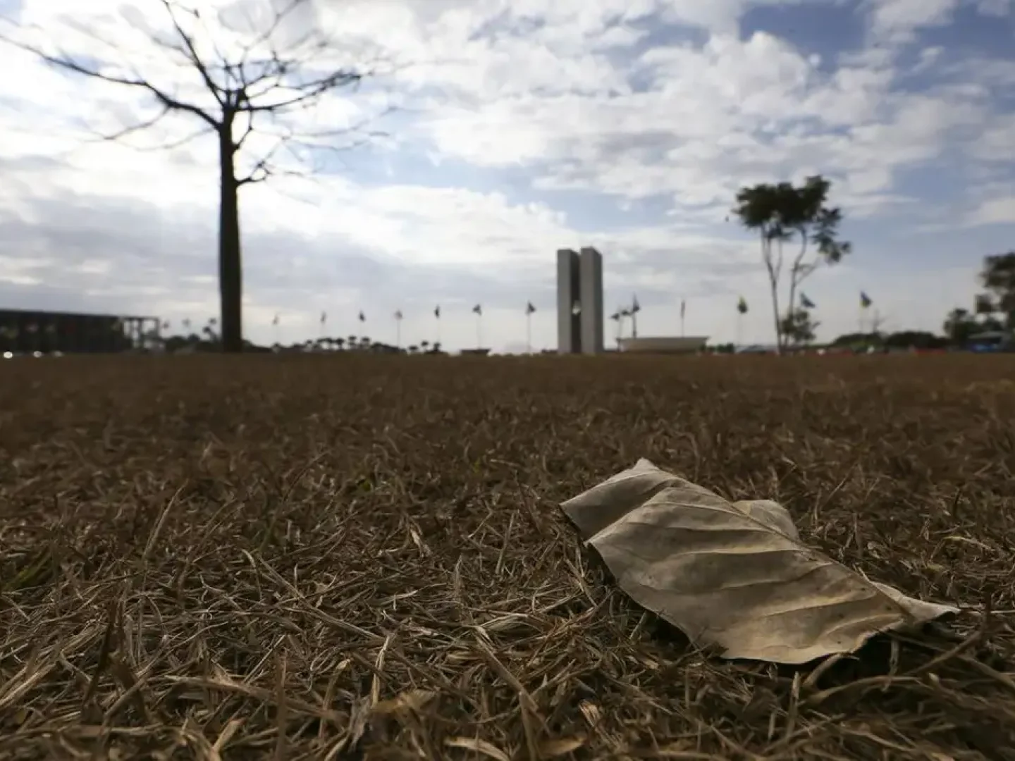 Foto: Marcelo Camargo / Agência Brasil